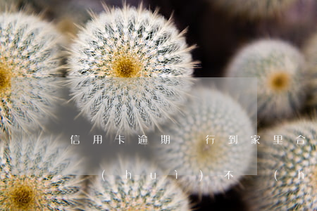信用卡逾期銀行到家里合法么(欠信用卡銀行會(huì)不會(huì)到家里來)