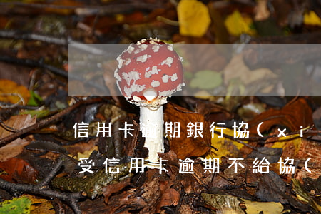 信用卡逾期銀行協(xié)商方案不能接受(信用卡逾期不給協(xié)商)