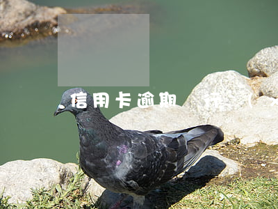信用卡逾期銀行協(xié)商處理