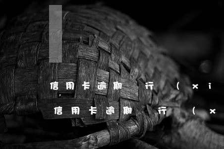 信用卡逾期銀行協(xié)商要擔保人-信用卡逾期銀行協(xié)商要擔保人還款