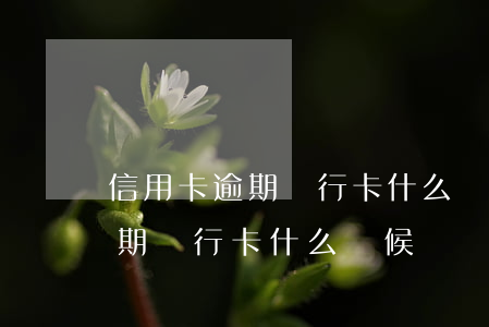 信用卡逾期銀行卡什么時候凍結-信用卡逾期銀行卡什么時候凍結的