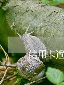信用卡逾期銀行卡作廢(因逾期而停用卡片)