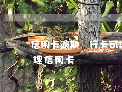 信用卡逾期銀行卡可以辦理嗎(逾期過可以辦理信用卡)