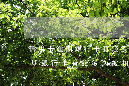 信用卡逾期銀行卡有錢多久被扣-信用卡逾期銀行卡有錢多久被扣了