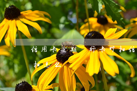 信用卡逾期銀行卡秒扣(信用卡逾期銀行卡秒扣怎么辦)
