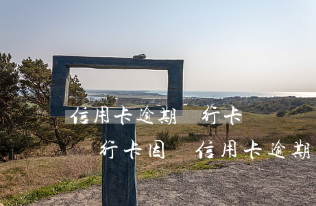 信用卡逾期銀行卡給凍結(jié)怎么辦(銀行卡因為信用卡逾期被凍結(jié)怎么辦)