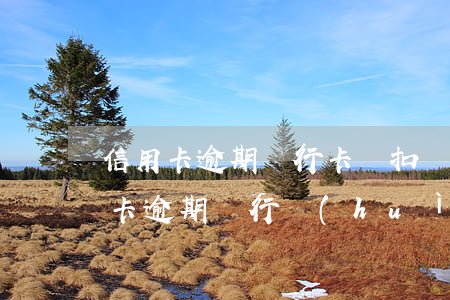 信用卡逾期銀行卡總扣錢(qián)(信用卡逾期銀行會(huì)直接從卡里扣錢(qián)嗎)