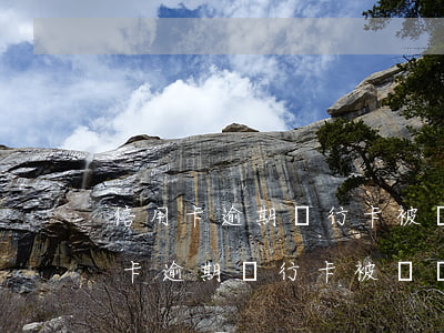 信用卡逾期銀行卡被凍結(jié)嗎(信用卡逾期銀行卡被凍結(jié)嗎怎么辦)