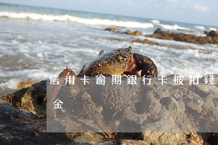 信用卡逾期銀行卡被扣錢了(銀行卡逾期違約金)