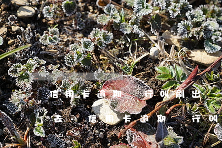 信用卡逾期銀行叫刷出來再還進(jìn)去-信用卡逾期銀行叫刷出來再還進(jìn)去是真的嗎