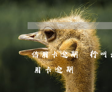 信用卡逾期銀行叫去分期 分期卡逾期屬于信用卡逾期嗎