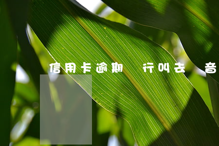 信用卡逾期銀行叫去錄音