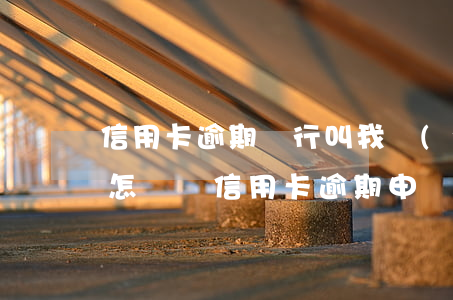 信用卡逾期銀行叫我準(zhǔn)備資料(怎樣寫信用卡逾期申請書)
