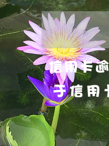 信用卡逾期銀行叫我簽協(xié)議(適用于信用卡逾期的合同法)