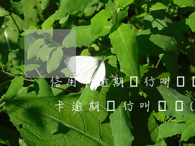信用卡逾期銀行叫簽協(xié)議書(信用卡逾期銀行叫簽協(xié)議書)