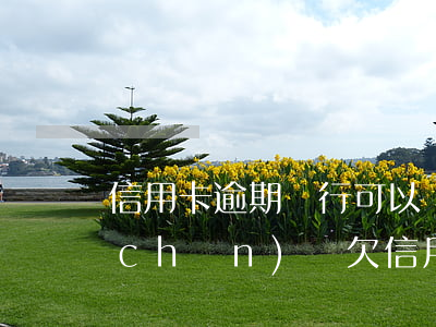 信用卡逾期銀行可以凍結(jié)資產(chǎn)嗎(欠信用卡逾期會(huì)凍結(jié)銀行卡嗎)