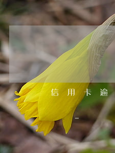 信用卡逾期銀行可以投訴銀監(jiān)嗎-銀監(jiān)會(huì)可以投訴信用卡嗎