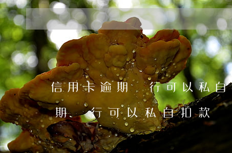 信用卡逾期銀行可以私自扣款嗎-信用卡逾期銀行可以私自扣款嗎怎么辦