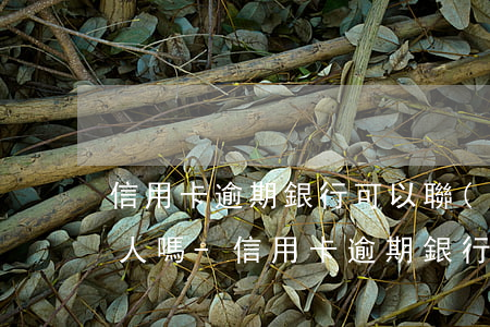 信用卡逾期銀行可以聯(lián)系其他人嗎-信用卡逾期銀行可以聯(lián)系其他人嗎怎么辦