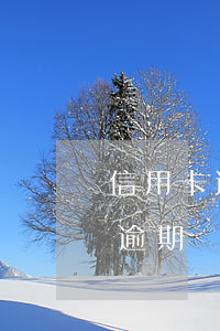 信用卡逾期銀行合并起訴(民事訴訟法信用卡逾期)