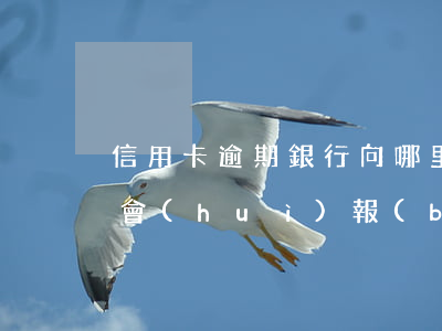 信用卡逾期銀行向哪里報(bào)案(銀行會(huì)報(bào)案信用卡逾期)