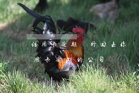 信用卡逾期銀行回去你單位鬧么-有解決信用卡逾期的公司嗎