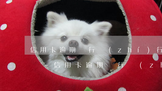 信用卡逾期銀行執(zhí)行前需要開庭嗎-信用卡逾期銀行執(zhí)行前需要開庭嗎知乎