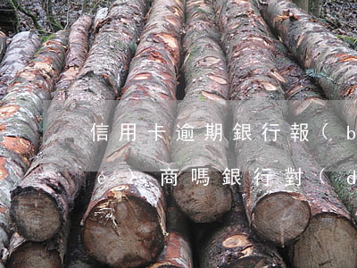 信用卡逾期銀行報(bào)案能協(xié)商嗎 銀行對(duì)信用卡逾期起訴流程