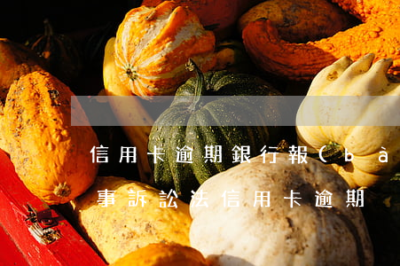 信用卡逾期銀行報(bào)案還是起訴 民事訴訟法信用卡逾期