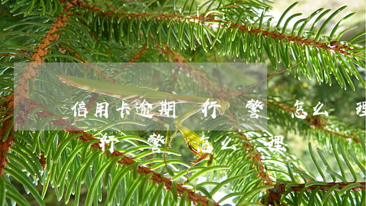 信用卡逾期銀行報警會怎么處理（信用卡逾期銀行報警會怎么處理）