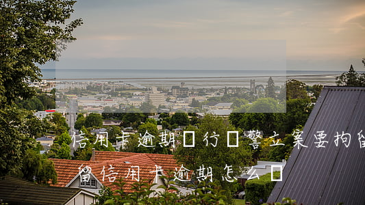 信用卡逾期銀行報警立案要拘留嗎(被刑事拘留信用卡逾期怎么辦)