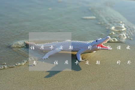 信用卡逾期銀行外包催收會(huì)有多久-信用卡逾期銀行外包催收會(huì)有多久的通知