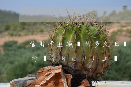 信用卡逾期銀行多久上門(信用卡逾期多久銀行會(huì)上門)