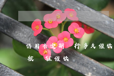 信用卡逾期銀行多久催收(信用卡逾期為什么被瘋狂催收)
