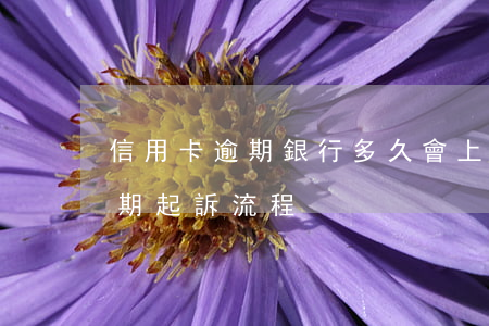 信用卡逾期銀行多久會上訴(銀行對信用卡逾期起訴流程)