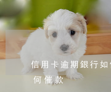 信用卡逾期銀行如何催款(信用卡逾期銀行如何催款)