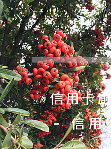 信用卡逾期銀行委托法務(wù)部是什么-信用卡逾期銀行委托法務(wù)部是什么業(yè)務(wù)