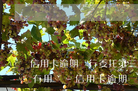 信用卡逾期銀行委托第三方協(xié)商有用嗎?-信用卡逾期銀行委托第三方協(xié)商有用嗎