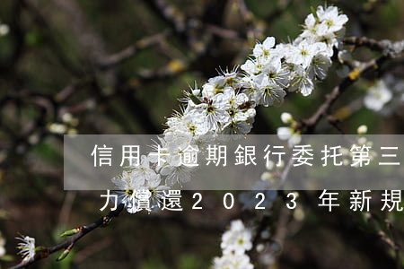 信用卡逾期銀行委托第三方合法嗎-欠款無力償還2023年新規(guī)出來了