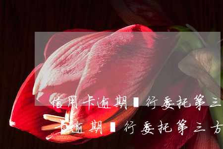 信用卡逾期銀行委托第三方進行催繳-信用卡逾期銀行委托第三方進行催繳違法嗎