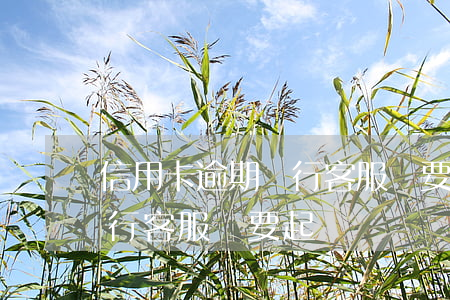 信用卡逾期銀行客服說要起訴（信用卡逾期銀行客服說要起訴）