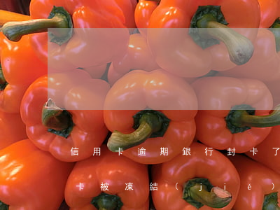 信用卡逾期銀行封卡了怎么還款(逾期了信用卡被凍結(jié)能解封)