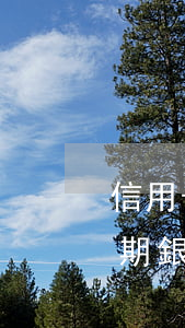 信用卡逾期銀行就是不同意分期-信用卡逾期銀行不同意分期怎么辦