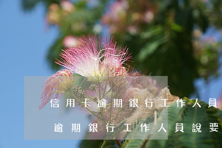 信用卡逾期銀行工作人員說要起訴-信用卡逾期銀行工作人員說要起訴是真的嗎