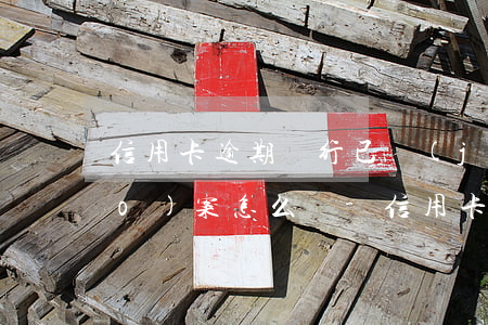 信用卡逾期銀行已經(jīng)報(bào)案怎么辦-信用卡逾期銀行已經(jīng)報(bào)案怎么辦理