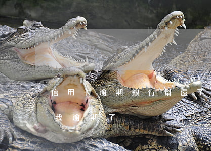 信用卡逾期銀行幫還了(為什么還了信用卡,說我逾期了)