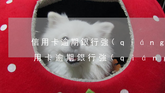 信用卡逾期銀行強(qiáng)制銷戶(信用卡逾期銀行強(qiáng)制銷戶怎么辦)