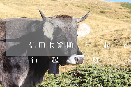 信用卡逾期銀行從起訴到開庭（信用卡逾期銀行從起訴到開庭）