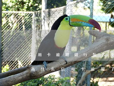 信用卡逾期銀行怎么不聯(lián)系了(為什么信用卡逾期了沒人聯(lián)系我)