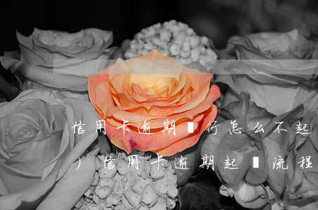 信用卡逾期銀行怎么不起訴(銀行對(duì)信用卡逾期起訴流程)